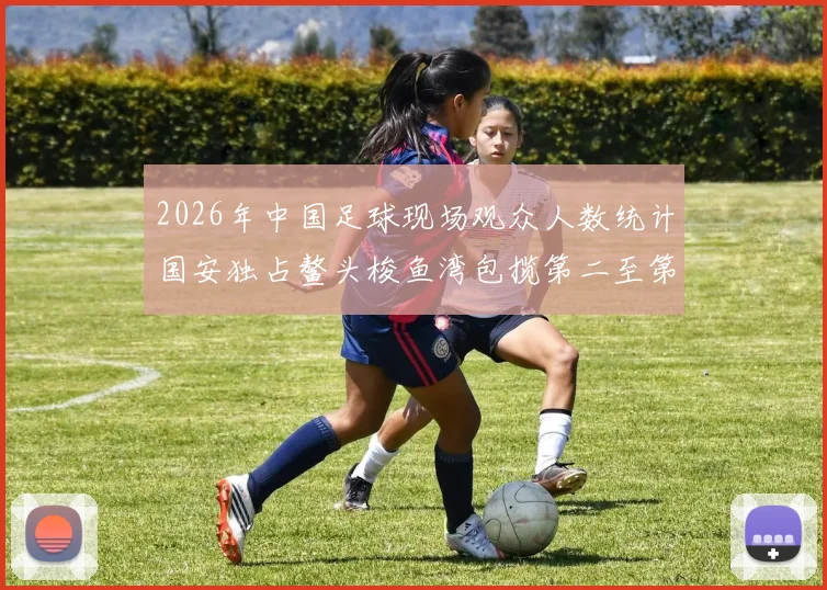 2026年中国足球现场观众人数统计国安独占鳌头梭鱼湾包揽第二至第七位